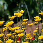 Ospitalita Rurale L'uccelliera 3* لوكا