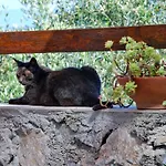 Ospitalita Rurale L'uccelliera لوكا
