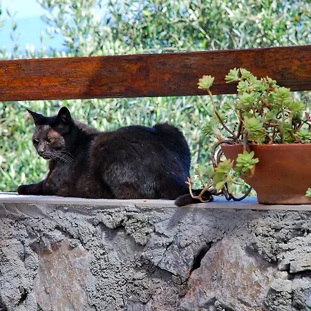 Ospitalita Rurale L'uccelliera Lukka