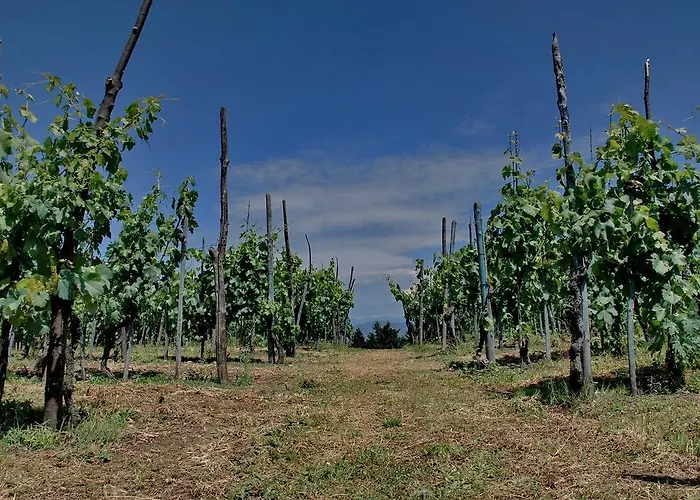 Bed & Breakfast Ospitalita Rurale L'uccelliera Lucca