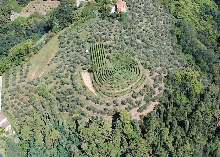Ospitalita Rurale L'uccelliera Lucca
