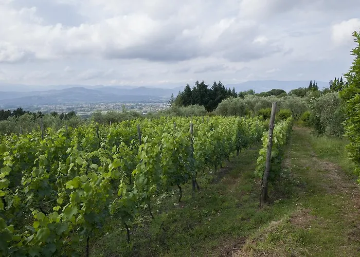 Ospitalita Rurale L'uccelliera Bed & Breakfast