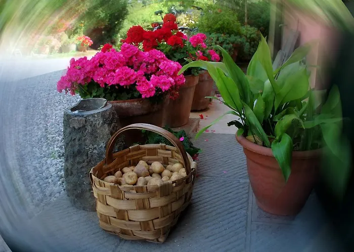 Ospitalita Rurale L'uccelliera Bed & Breakfast