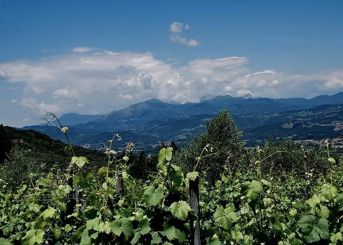 Bed & Breakfast Ospitalita Rurale L'uccelliera Lucca